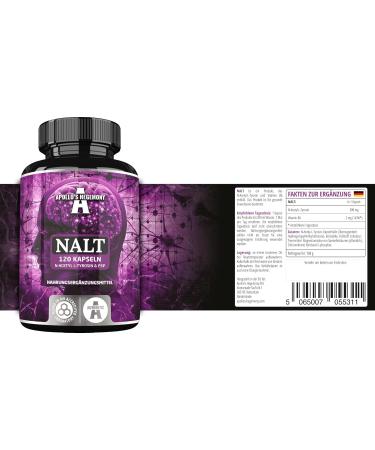 N-Acetyl-L-Tyrosine 500mg with Vitamin B6 | 120 Capsules | High Dose Amino Acids Supplement | 4 Months Supply | Apollo's Hegemony - Buy Online on GoSupps.com