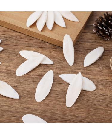 50 Pcs Bird Cuttlebone Toys 5-7cm Cuttlefish Bone Bird Cuttlebone Toys Natural Chewing Cuttlefish Bones Parrot Chew Calcium Toy for Pet Parakeets Budgies Tortoises - Buy Online on GoSupps.com