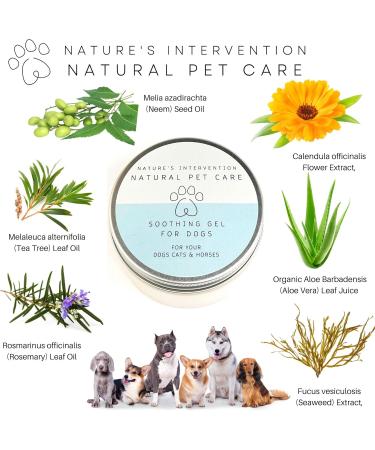 99% Natural DOG SOOTHING GEL - ALOE VERA TEA TREE NEEM & ROSEMARY - 100g by NIP. Refreshes Moisturizes Soothes Relieves Itching. Beneficial for Dry and Sensitive Skin. - Buy Online on GoSupps.com