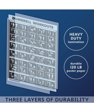 Palace Learning Dumbbell Exercise Poster - Laminated 18x24 | Perfect for Home Office Fitness - Buy Online on GoSupps.com