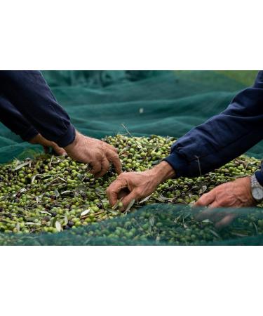 Frescobaldi Laudemio Extra Virgin Olive Oil 500ml - Premium Quality EVOO - Buy Online on GoSupps.com