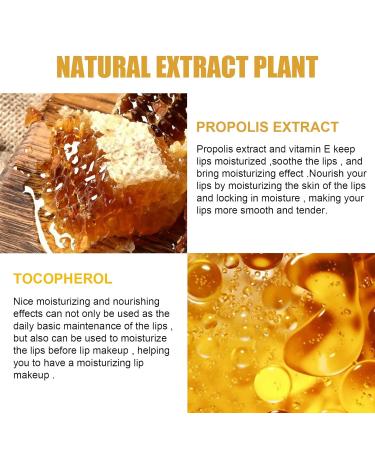 4 Pcs Lip Balm Honey Pot Honey Moisturizing Lip Mask Reduces Lip Lines Prevention Dry and Cracked Lip Scrubs Exfoliator. - Buy Online on GoSupps.com