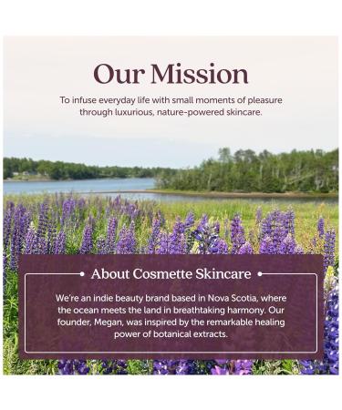 Cosmette Bright Embrace Brightening Eye Cream - Vegan Under Eye Butter for Dark Circles Bags & Wrinkles with Niacinamide - Natural Anti-Aging Sensitive Skin Protection for Clean Beauty 0.5 FL Oz - Buy Online on GoSupps.com