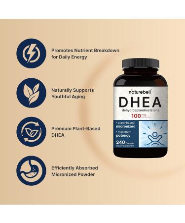 NatureBell DHEA 100mg for Men & Women 240 Capsules | Micronized for Better Absorption | Plant-Based Source | Supports Energy Metabolism & Healthy Aging | Non-GMO Made in USA - Buy Online on GoSupps.com