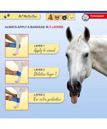 Protectaplast Self-Adhesive Blue Bandage for Pets (8cm x 2m) - Latex-Free & Glue-Free Wound Care for Dogs Cats & Horses - Buy Online on GoSupps.com