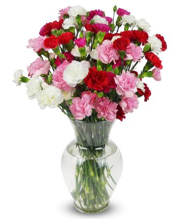 Benchmark Bouquets 20 stem Rainbow Mini Carnations, With Vase (Fresh Cut Flowers)