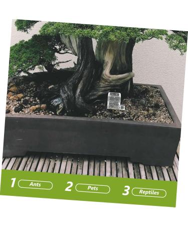 Kisangel 2pcs Pet Water Feeder Insect Feeder Transparent Ants Feeding Cup Insect Water Feeder Plastic - Buy Online on GoSupps.com