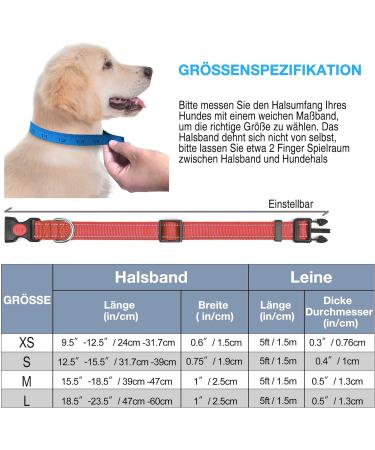 Haapaw Reflecting Dog Collar - Padded Neoprene Breathable Nylon for Small & Medium Dogs - Red (M 1-Pack) - Buy Online on GoSupps.com