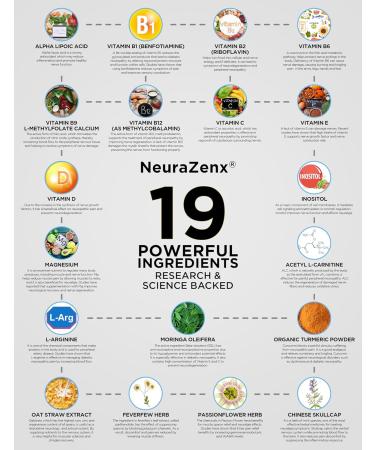 Zen Nutrients 1200mg Alpha Lipoic Acid R Matrix + Benfotiamine + B Complex Nerve Support - NeuraZenX Neuropathy Support Supplement with L-Carnitine and Turmeric (120 Capsules) - Buy Online on GoSupps.com