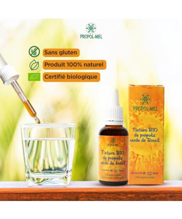 Organic Green Propolis Extract from Brazil 30 ml. Immune boosting mother tincture. 100% Natural Gluten free concentrated at 25%. - Buy Online on GoSupps.com