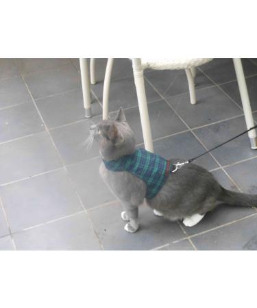 Mynwood Cat Jacket/Harness Black Watch Tartan Adult Cat - Buy Online on GoSupps.com