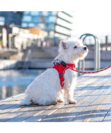 DOG Copenhagen Comfort Walk Go Harness in Hunting Green - Size M - Buy Online on GoSupps.com