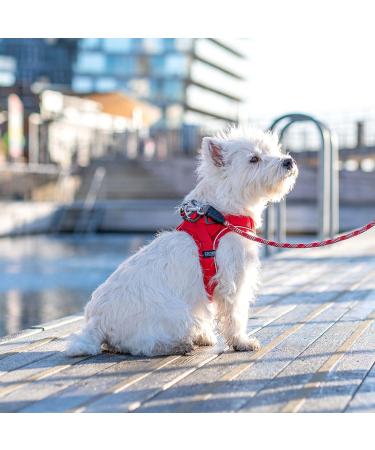DOG Copenhagen Comfort Walk Go Dog Harness - Black Size S | Premium Dog Gear for International Shipping - Buy Online on GoSupps.com