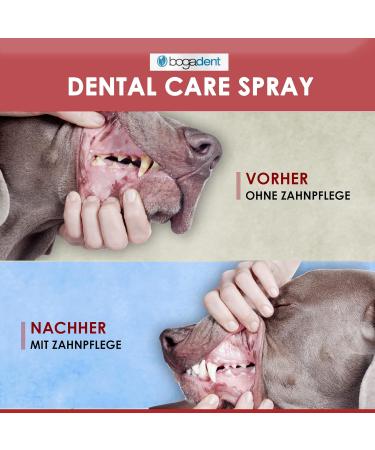 Bogadent Dental Care Spray for Dogs - Tartar & Bad Breath Solution | Best Dog Dental Spray International Shipping - Buy Online on GoSupps.com