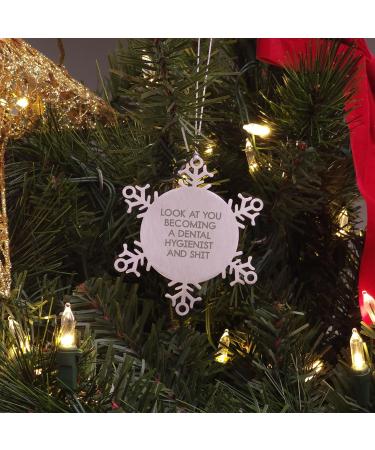 Funny Dental Hygienist Snowflake Ornament Gifts from Friends for Christmas Look at You Becoming A Dental Hygienist and Shit Shatterproof Ornament for Dental Hygienist - Buy Online on GoSupps.com