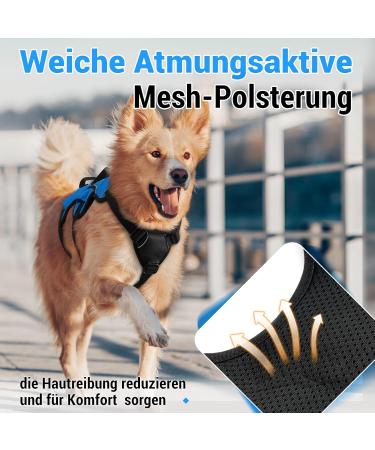 Rabbitgoo Escape-Proof Dog Harness for Medium Dogs - Anti-Pull Adjustable Breathable Padded Vest with Handle - XL Blue - Buy Online on GoSupps.com