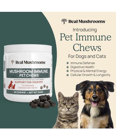 Real Mushrooms Reishi Capsules for Humans (90ct) & Mushroom Immune Pet Chews (60ct) - Bundle for Longevity Relaxation & Immunity - Ashwagandha Astragalus & More - Vegan Non-GMO Gluten-Free - Buy Online on GoSupps.com