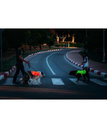 Orange Dog Safety Reflective Vest with Leash Hole - Lightweight XS High Visibility for Outdoor Activity SNAP LOCK BUCKLE Straps - Keep Your Dog Safe Day & Night - Buy Online on GoSupps.com