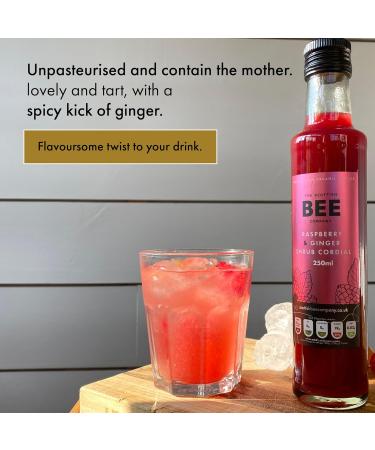 Scottish Bee Co. 250ml Raspberry & Ginger Shrub Cordial | Apple Cider Vinegar Infused | Made in Scotland - Buy Online on GoSupps.com