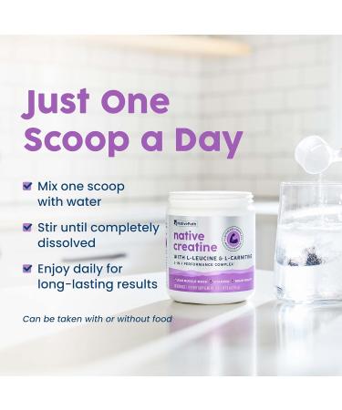 NativePath Creatine Monohydrate Powder with L-Leucine & L-Carnitine - Supports Muscle Health for Men & Women - 30 Servings 9 Ounce (Pack of 1) - Buy Online on GoSupps.com