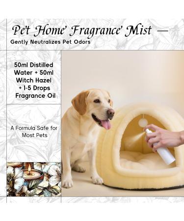 HIQILI 100ML Orange Essential Oil & 30ML White Musk Fragrance Oil for DIY Diffuser - Buy Online on GoSupps.com