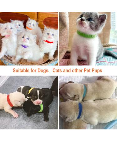 30-Pack Adjustable Puppy ID Collars | Soft Double-Sided Pet Bracelets for Newborn Dogs & Cats | 15 Colors Available - Buy Online on GoSupps.com