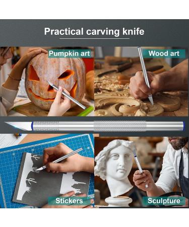 15Pcs Precision Craft Hobby Knife Set for Carving, Modeling, Scrapbooking - Sharp Razor Knives for DIY Art Work Cutting - Buy Online on GoSupps.com