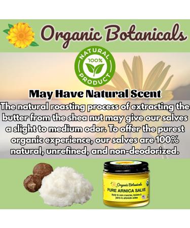 Pure Organic Arnica Salve | Sore Muscle & Joint Relief Cream for Stiffness Aches Bruising Swelling Sprains & More | 2 oz Arnica Cream 2 Ounce (Pack of 1) - Buy Online on GoSupps.com