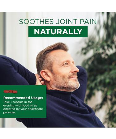 Plantonin Antarctic Krill Oil 1000mg Softgels - Packed with 400 mg Marine Phospholipids with EPA & DHA Omega 3 and Astaxanthin - Fish Oil Alternatives - 2 Months Supply Krill Oil - 1000mg - Buy Online on GoSupps.com