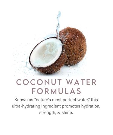 ALURAM Root Boost Adds Volume & Lift to Roots For Fine to Medium Hair 6 Fl Oz - Buy Online on GoSupps.com