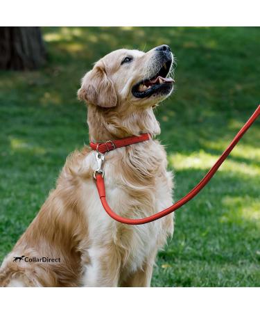 Collardirect Round Leather Dog Collar - Handmade Soft Padded for Small & Big Dogs Cats - Real Leather in Black Pink Red Purple Blue (23-28 cm) - Buy Online on GoSupps.com