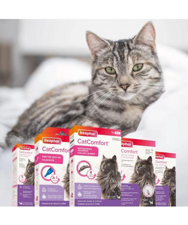 BEAPHAR CATCOMFORT - Electric pheromone diffuser for cats - Reduces stress and unwanted behavior without dependency or drowsiness - 1 plug and 1 refill of 48 ml - Buy Online on GoSupps.com