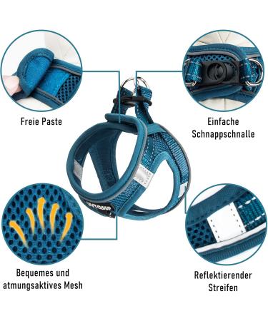 Uvtqssp Dog Harness for Small Dogs with Leash | Padded Puppy Dishes & Indigo Blue Harness Set - Buy Online on GoSupps.com