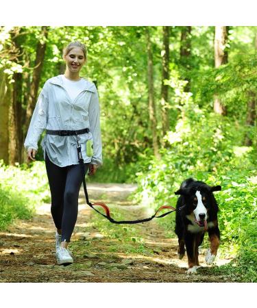 Vivaglory Free-Handed Dog Leash | Double Anti-Shock Bungees & Padded Handles | Reflective Waist Running Leash for Training & Jogging | Fits Waist 65-112cm | Black/Orange - For Medium & Large Dogs - Buy Online on GoSupps.com