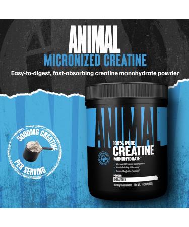Animal Creatine Monohydrate Powder Micronized Creatine for Women and Men Supports Muscle Growth Strength Endurance Recovery and ATP Production Gym & Workout Supplements - Unflavored 300g Unflavored 300g (Pack of 1) - Buy Online on GoSupps.com