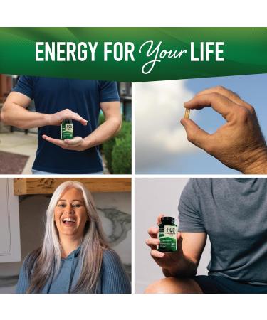 PQQ Supplement 20mg | Boost Mitochondrial Energy & Brain Health | Ultra PQQ with CoQ10 & B12 | Vegan & Gluten-Free | 60 Capsules - Buy Online on GoSupps.com