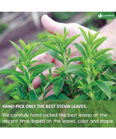 Lavendium 300+ Natural Stevia Leaves Whole Dried Leaves 100% Pure Stevia Dried Leaves Stevia Leaf Tea Zero Calorie Sweetener No Additives No Caffeine Vegan - Buy Online on GoSupps.com