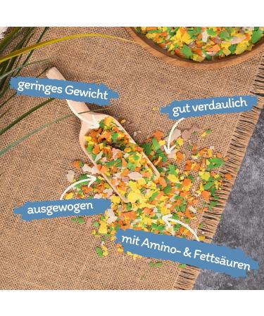 Lyra Pond 10 L Multi Flakes in Bucket | Pond Fish Flake Food | Easy to Digest Pond Food Made from Corn & Wheat Flour | Very Low Weight - Buy Online on GoSupps.com