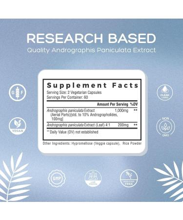 Natural Cure Labs Premium Andrographis Paniculata Extract 1,200mg with 100mg Andrographolides Vegan Capsules for Immune & Digestive Support, Non-GMO, Gluten Free, Herbal Dietary Supplement 120 Count (Pack of 1) - Buy Online on GoSupps.com