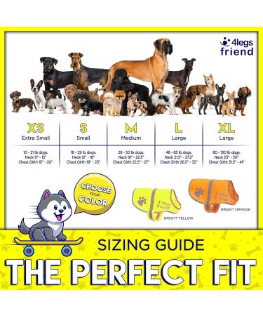 4Legriend Yellow Reflective Safety Vest for Dogs - 2 Pack Small | Keep Your Dog Visible & Safe from Cars & Hunting Accidents - Buy Online on GoSupps.com