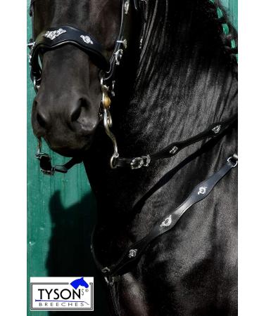 Jose Breastplate Show - Premium Portuguese Spanish Black Brown for WB XF XXF Calfblood - Tysons VB WB XF XXF - Shop Now! - Buy Online on GoSupps.com