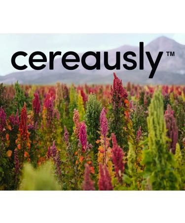 Organic Bolivian White Quinoa Bulk - 25Lbs | Restaurants & Wholesale | Non-GMO | Royal Quality - Buy Online on GoSupps.com