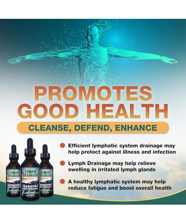 Carnivora Lymph Drainage Drops - Cleanse & Stimulate Lymphatic System, Boost Energy - 2 Fl Oz - Buy Online on GoSupps.com