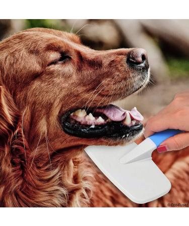 Pet Brush & Nail Clipper Set - Grooming Dogs Cats & Pets, Remove Mats, Reduce Shedding, Comfortable Grip - Large & Small Sizes - Buy Online on GoSupps.com