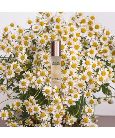 Desert Essence Blemish Touch Stick â€“ 0.31 oz | Effective Spot Treatment for Clear Skin - Buy Online on GoSupps.com