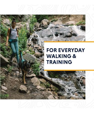 RUFFWEAR Front Range Reflective No Pull Dog Harness - Size XS Tumalo Teal - Best for Small Dogs - Durable & Comfortable - Buy Online on GoSupps.com