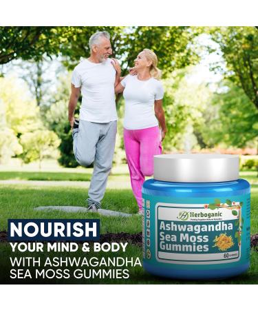 HERBOGANIC Ashwagandha Sea Moss Gummies - 60 Count Ashwagandha 1 Count (Pack of 60) - Buy Online on GoSupps.com