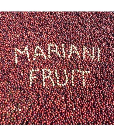 Organic Dried Cranberries by Mariani - 4 oz (113 g) | Healthy Snack - Buy Online on GoSupps.com