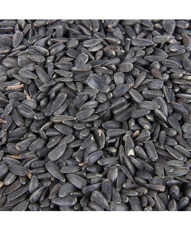 Premium Black Sunflower Seed Wild Bird Food 3L Tub - Buy Online on GoSupps.com