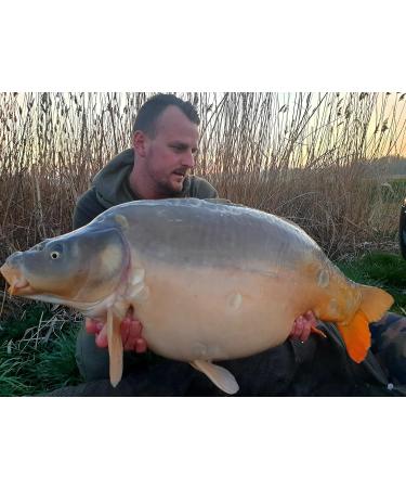 Tandem Baits Carp Food PVA Booster Carp Bait Carp Fishing Pop-Ups Boilie Carp Professional Carp Fishing Accessories 1000 - Buy Online on GoSupps.com